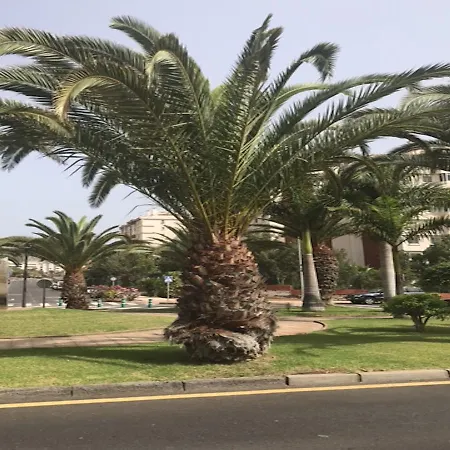 Las Plataneras Lägenhet